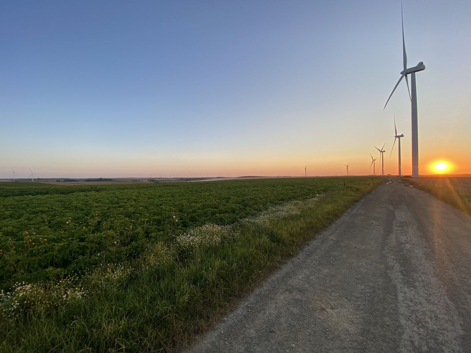 Chemin de campagne et éoliennes au coucher du soleil dans le Sud de l’Aisne